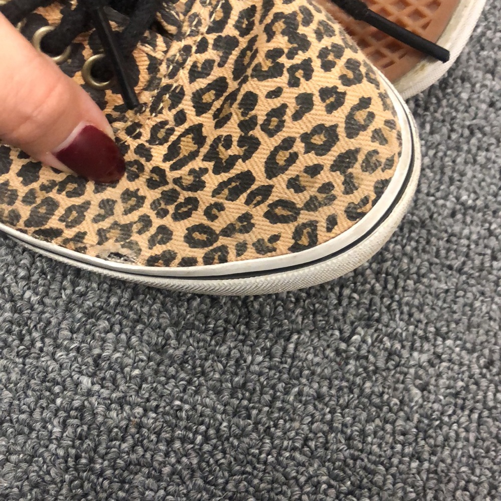 Cheetah Vans - Picture 6 of 6